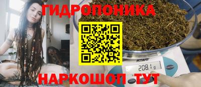jwh Берёзовский
